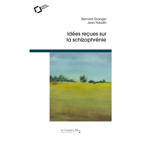 Idées reçues sur la schizophrénie, Idées reçues
