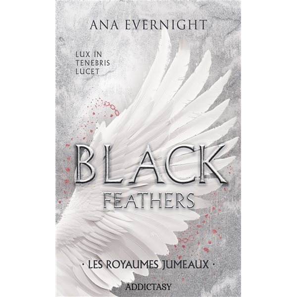 Les royaumes jumeaux, Tome 3, Black feathers