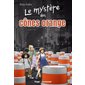 Le mystère des cônes orange, Tome 4, Le mystère
