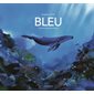 Bleu : une histoire dans la mer