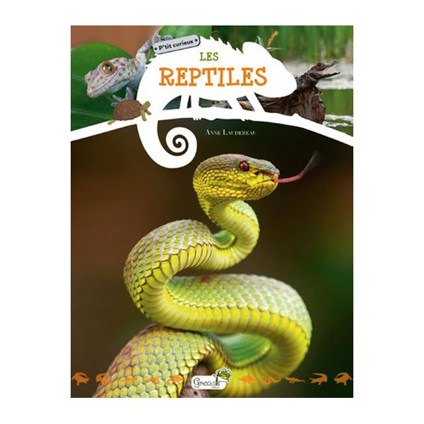 Les reptiles, P'tit curieux