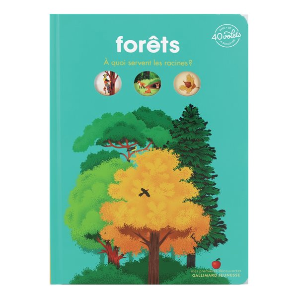 Forêts : à quoi servent les racines ?