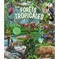 Forêts tropicales, XXL pop-up
