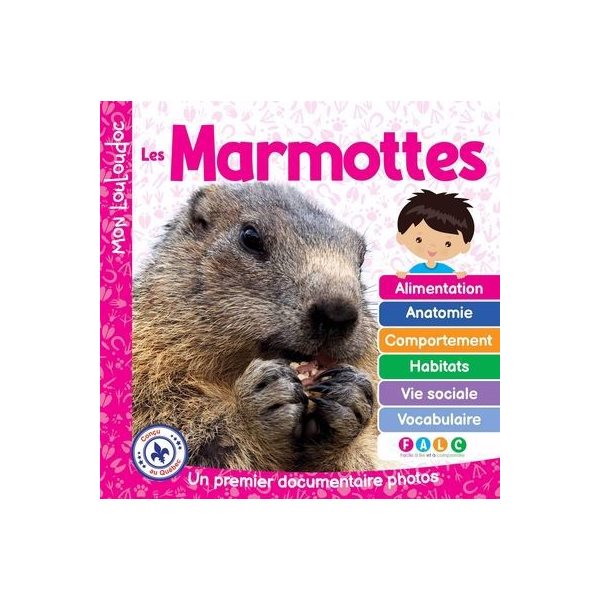 Les marmottes : Un premier documentaire photos