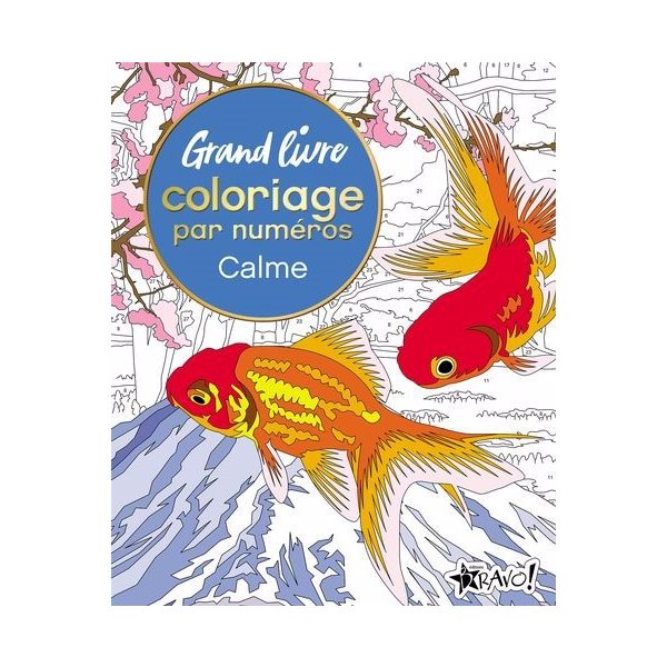 Grand livre de coloriage par numéros - Calme