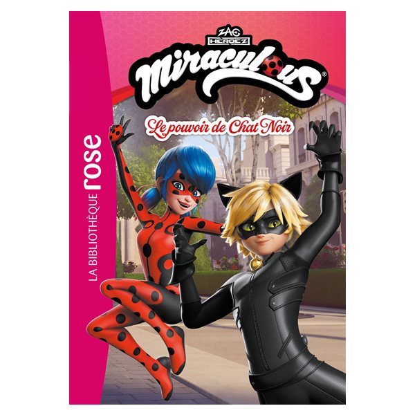 Le pouvoir de Chat noir, Tome 4, Miraculous : nouvelles histoires