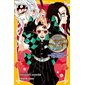 La fin de la bataille meurtrière ! : l'avenir de Tanjiro et des pourfendeurs, Demon slayer : Kimetsu no yaiba : roman jeunesse, 10