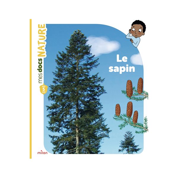 Le sapin