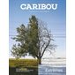 Caribou, no. 23, Extrêmes