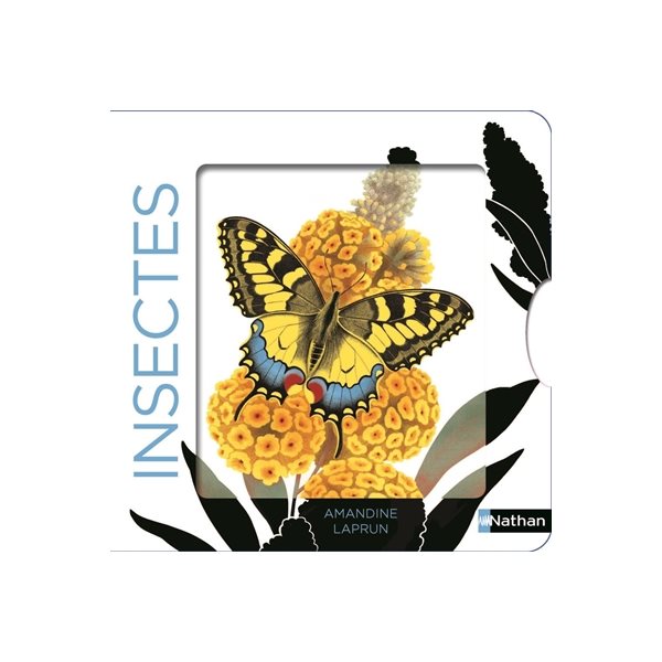 Insectes, Les belles couleurs