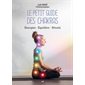 Le petit guide des chakras : énergies, équilibre, rituels