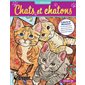 Chats et chatons, Art détente