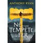Né d'une tempête de fer, Tome 2, L'âge de la fureur